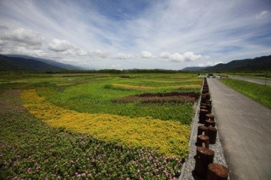 路邊的造景